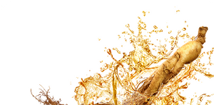 Ginseng